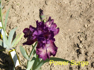 Power Surge